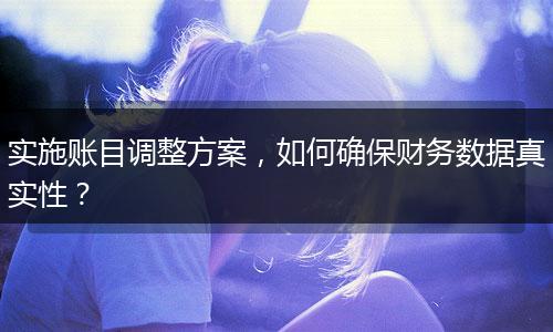 實(shí)施賬目調(diào)整方案，如何確保財(cái)務(wù)數(shù)據(jù)真實(shí)性？