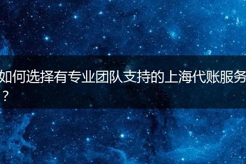 如何選擇有專業(yè)團隊支持的上海代賬服務(wù)？