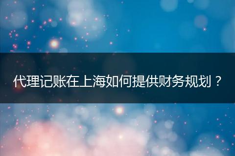 代理記賬在上海如何提供財務規(guī)劃？