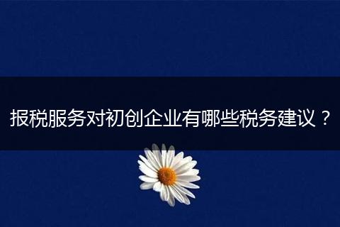 報(bào)稅服務(wù)對(duì)初創(chuàng)企業(yè)有哪些稅務(wù)建議？