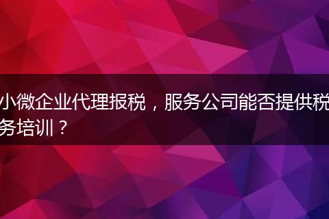 小微企業(yè)代理報(bào)稅，服務(wù)公司能否提供稅務(wù)培訓(xùn)？