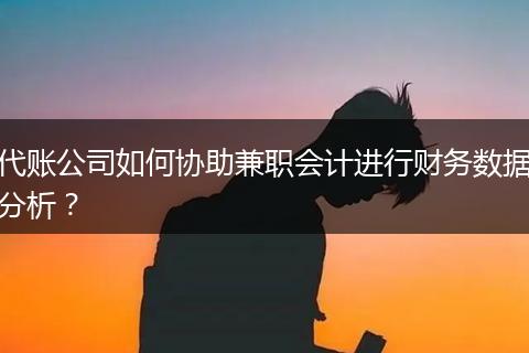 代賬公司如何協(xié)助兼職會計進行財務(wù)數(shù)據(jù)分析？