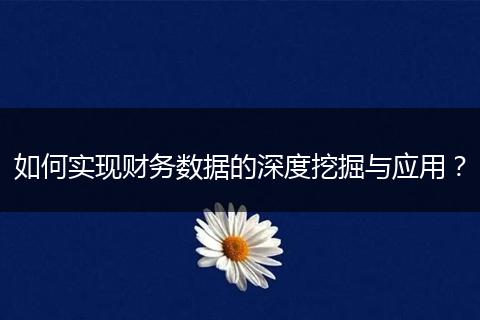 如何實現(xiàn)財務數據的深度挖掘與應用？