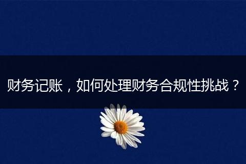 財(cái)務(wù)記賬，如何處理財(cái)務(wù)合規(guī)性挑戰(zhàn)？