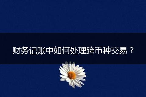 財(cái)務(wù)記賬中如何處理跨幣種交易？