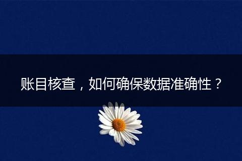 賬目核查，如何確保數(shù)據(jù)準(zhǔn)確性？