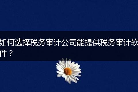 如何選擇稅務(wù)審計(jì)公司能提供稅務(wù)審計(jì)軟件？