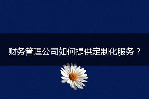 財(cái)務(wù)管理公司如何提供定制化服務(wù)？