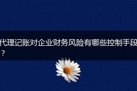 代理記賬對企業(yè)財務風險有哪些控制手段？