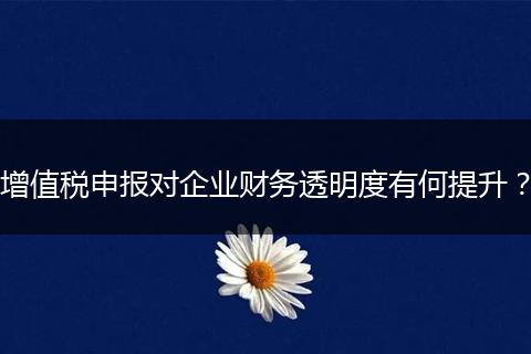 增值稅申報(bào)對(duì)企業(yè)財(cái)務(wù)透明度有何提升?