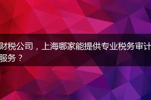 財稅公司，上海哪家能提供專業(yè)稅務(wù)審計服務(wù)？
