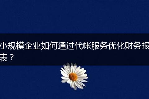 小規(guī)模企業(yè)如何通過代帳服務(wù)優(yōu)化財(cái)務(wù)報(bào)表？