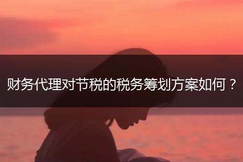 財務(wù)代理對節(jié)稅的稅務(wù)籌劃方案如何？