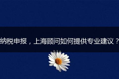 納稅申報，上海顧問如何提供專業(yè)建議？