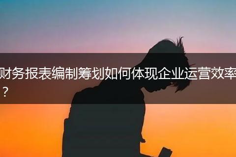 財務(wù)報表編制籌劃如何體現(xiàn)企業(yè)運營效率？