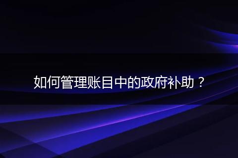 如何管理賬目中的政府補助？
