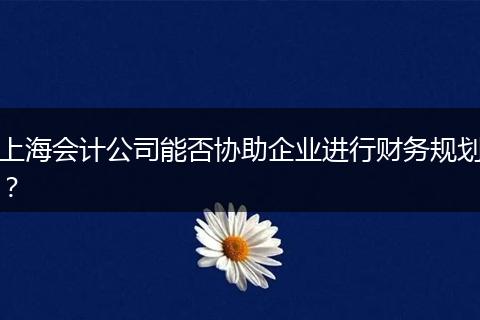 上海會(huì)計(jì)公司能否協(xié)助企業(yè)進(jìn)行財(cái)務(wù)規(guī)劃？