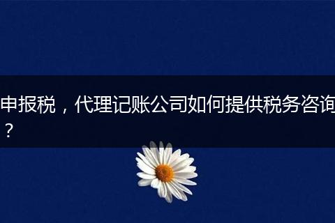 申報稅，代理記賬公司如何提供稅務(wù)咨詢？
