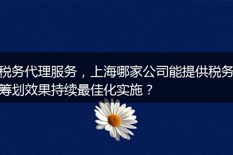 稅務(wù)代理服務(wù)，上海哪家公司能提供稅務(wù)籌劃效果持續(xù)最佳化實(shí)施？