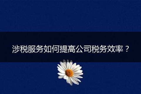 涉稅服務如何提高公司稅務效率？