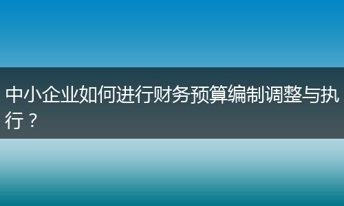 中小企業(yè)如何進行財務(wù)預(yù)算編制調(diào)整與執(zhí)行？