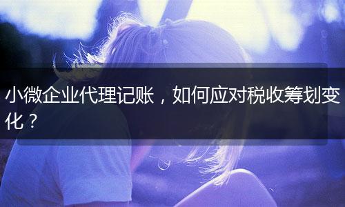 小微企業(yè)代理記賬，如何應(yīng)對(duì)稅收籌劃變化？
