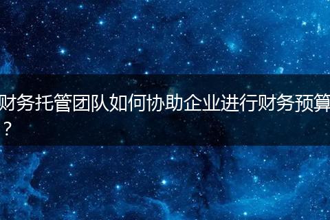 財(cái)務(wù)托管團(tuán)隊(duì)如何協(xié)助企業(yè)進(jìn)行財(cái)務(wù)預(yù)算？