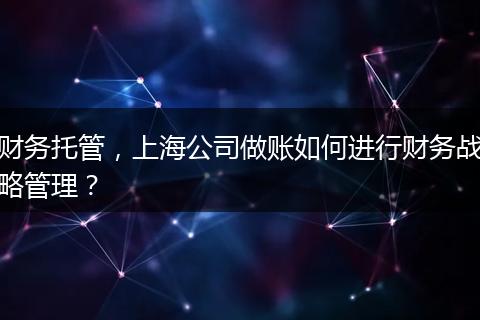 財務托管，上海公司做賬如何進行財務戰(zhàn)略管理？