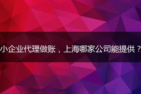 小企業(yè)代理做賬，上海哪家公司能提供？