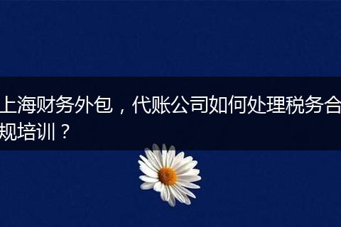 上海財務(wù)外包，代賬公司如何處理稅務(wù)合規(guī)培訓(xùn)？