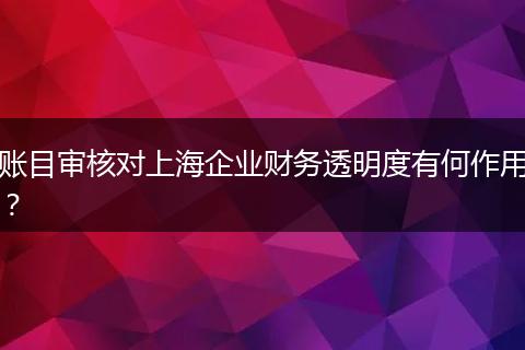 賬目審核對上海企業(yè)財務(wù)透明度有何作用？