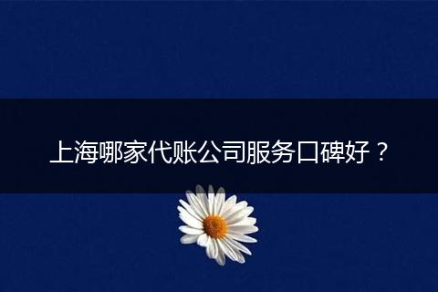 上海哪家代賬公司服務(wù)口碑好？