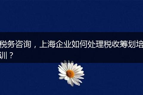 稅務(wù)咨詢，上海企業(yè)如何處理稅收籌劃培訓(xùn)？