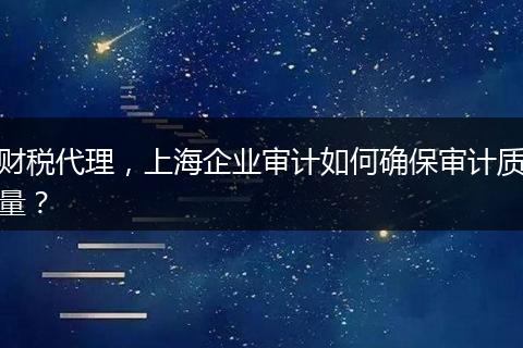 財(cái)稅代理，上海企業(yè)審計(jì)如何確保審計(jì)質(zhì)量？