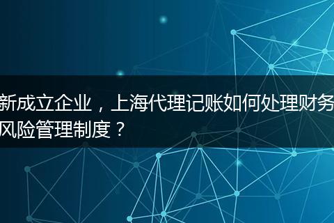 新成立企業(yè)，上海代理記賬如何處理財務風險管理制度？