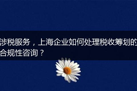 涉稅服務，上海企業(yè)如何處理稅收籌劃的合規(guī)性咨詢？