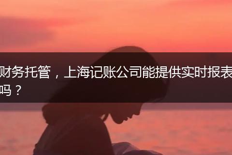 財(cái)務(wù)托管，上海記賬公司能提供實(shí)時(shí)報(bào)表嗎？
