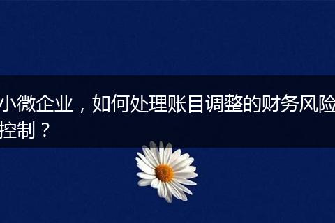 小微企業(yè)，如何處理賬目調整的財務風險控制？