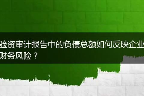 驗(yàn)資審計(jì)報(bào)告中的負(fù)債總額如何反映企業(yè)財(cái)務(wù)風(fēng)險(xiǎn)？