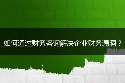 如何通過財務(wù)咨詢解決企業(yè)財務(wù)漏洞？