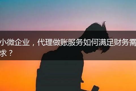 小微企業(yè)，代理做賬服務(wù)如何滿足財(cái)務(wù)需求？
