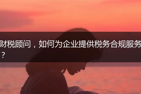 財(cái)稅顧問(wèn)，如何為企業(yè)提供稅務(wù)合規(guī)服務(wù)？