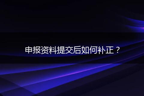 申報資料提交后如何補正？