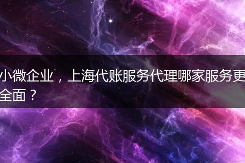 小微企業(yè)，上海代賬服務代理哪家服務更全面？