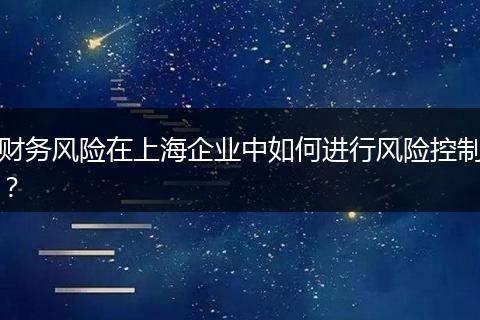 財務風險在上海企業(yè)中如何進行風險控制？