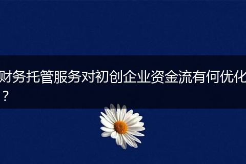 財務(wù)托管服務(wù)對初創(chuàng)企業(yè)資金流有何優(yōu)化？