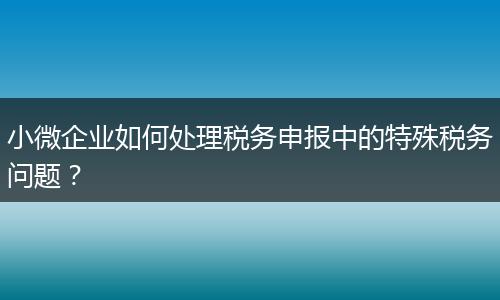 小微企業(yè)如何處理稅務(wù)申報中的特殊稅務(wù)問題？