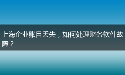 上海企業(yè)賬目丟失，如何處理財(cái)務(wù)軟件故障？