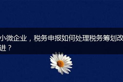 小微企業(yè)，稅務申報如何處理稅務籌劃改進？