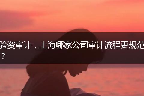 驗(yàn)資審計(jì)，上海哪家公司審計(jì)流程更規(guī)范？